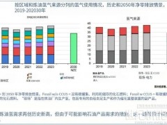 IEA：全球氢能需求今年将达1亿吨！中国电解槽产能占八成！