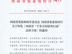 河南印发“驭风行动”总体方案：按照源网荷储一体化模式实施 鼓励土地入股！