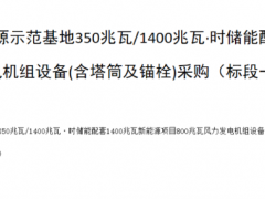 1676.7MW世纪新能源网项目开标！4家整机商分羹