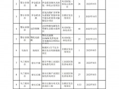 1265万千瓦！内蒙古废止三批市场化并网新能源项目！